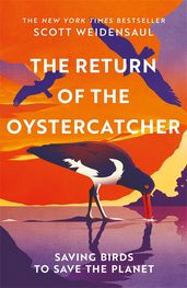 Book cover for The Return of the Oystercatcher