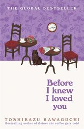 Book cover for Before I Knew I Loved You