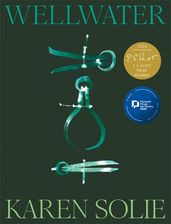 Book cover for Wellwater