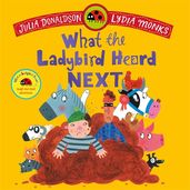 Book cover for What the Ladybird Heard Next